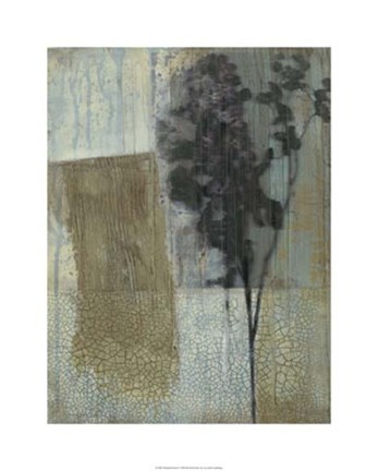 Framed Weathered Floral II Print