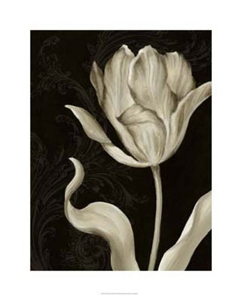 Framed Classical Tulip II Print