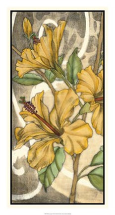 Framed Hibiscus Song I Print