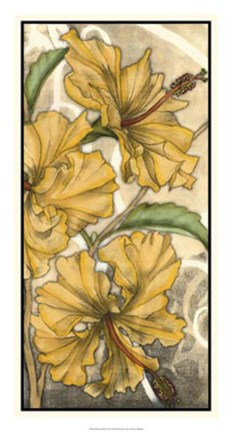 Framed Hibiscus Song II Print