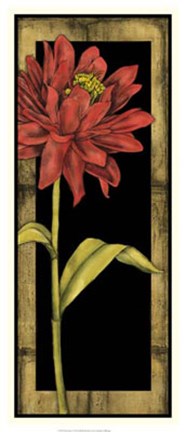 Framed Floral Inset I Print