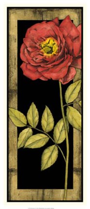 Framed Floral Inset IV Print