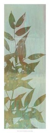 Framed Leaf Overlay I Print