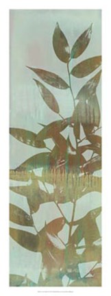 Framed Leaf Overlay II Print