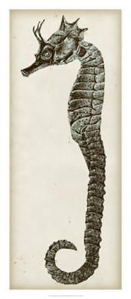 Framed Vintage Seahorse I Print