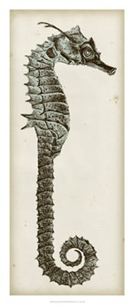 Framed Vintage Seahorse II Print