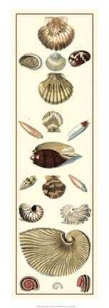 Framed Studies in Symmetry Panel I Print