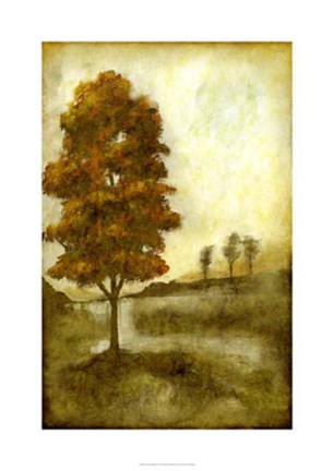 Framed Sunset Solitude II Print