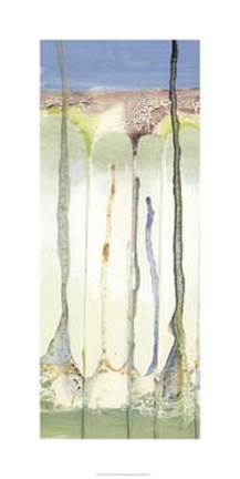 Framed Tributary II Print