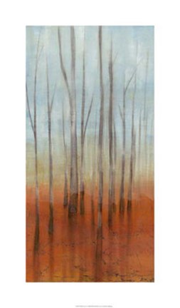 Framed Birch Forest I Print