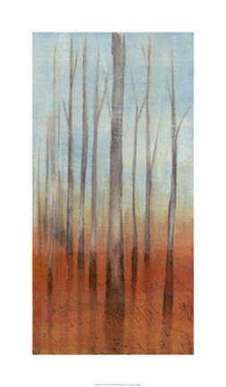 Framed Birch Forest II Print