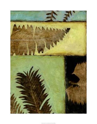 Framed Fossilized Ferns IV Print