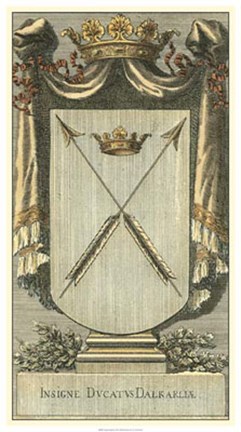 Framed Vintage Insignia II Print