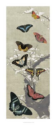 Framed Take Flight II Print