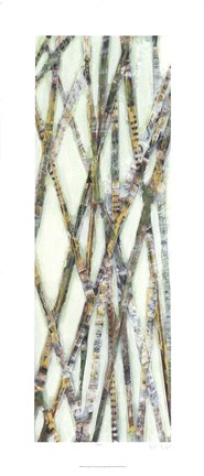 Framed Lemongrass IV Print