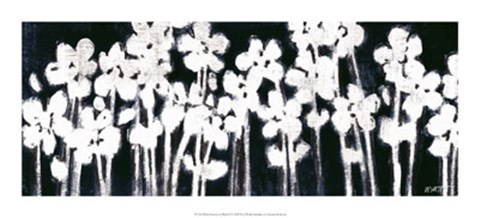 Framed White Flowers on Black II Print