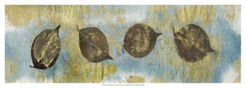 Framed Leaf Banner II Print