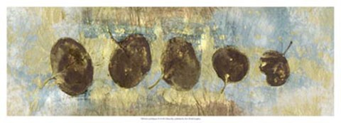 Framed Leaf Banner IV Print