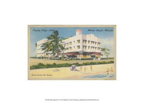 Framed Miami Beach IV Print