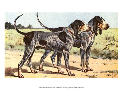 Framed Man&#39;s Best Friend VIII Print