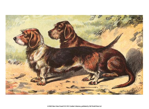 Framed Man&#39;s Best Friend IX Print