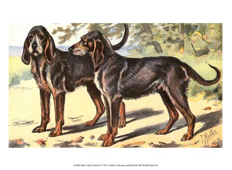 Framed Man&#39;s Best Friend XI Print