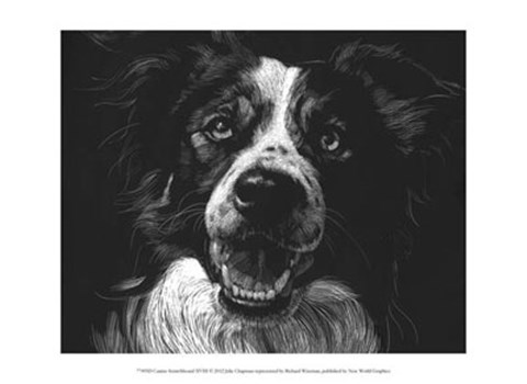 Framed Canine Scratchboard XVIII Print