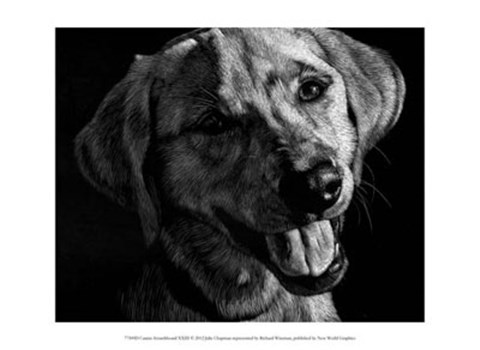 Framed Canine Scratchboard XXIII Print