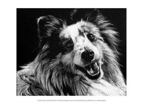 Framed Canine Scratchboard XXVI Print