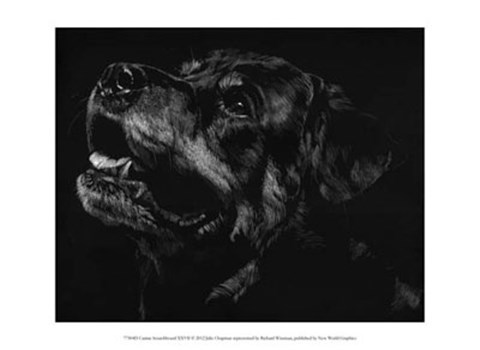 Framed Canine Scratchboard XXVII Print
