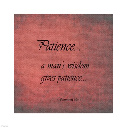 Framed Patience Proverbs 19:11 Print