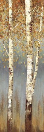 Framed Butterscotch Birch Trees II Print