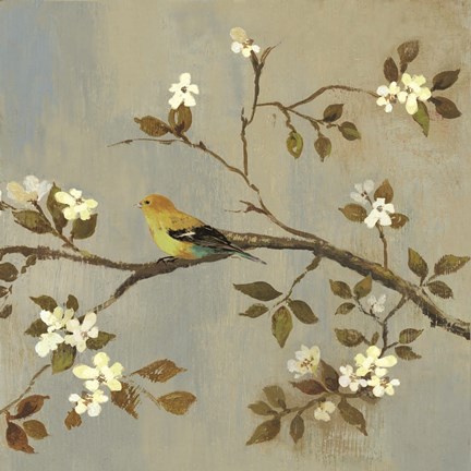 Framed Apple Bloom II ( conversation) Print