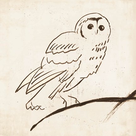 Framed Owl II Print