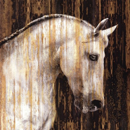 Framed Horse II Print