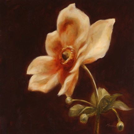 Framed Floral Symposium IV Print