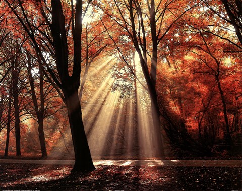 Framed Dressed to Shine Print