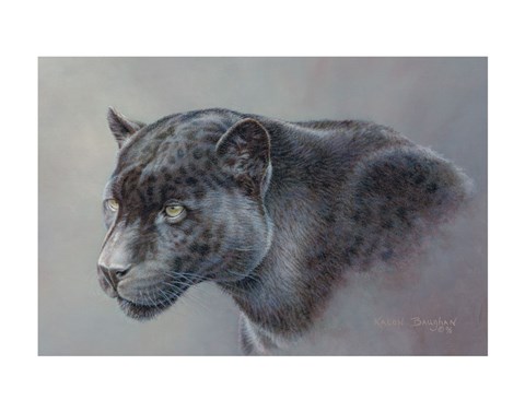 Framed Shadow Hunter Print