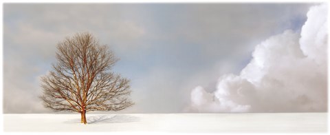 Framed Alone in the Whiteness Print