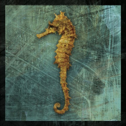 Framed Seahorse Print