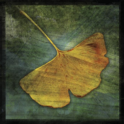 Framed Gingko 3 Print
