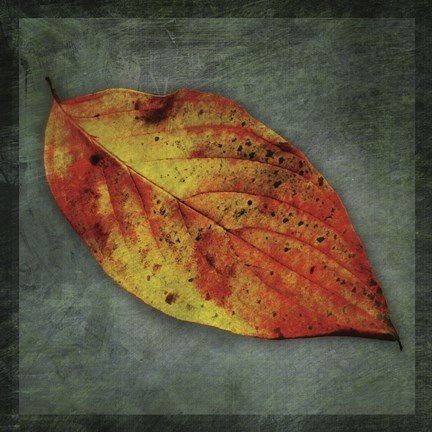 Framed Dogwood Yellow Print