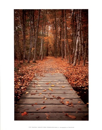 Framed Woodland Path Print