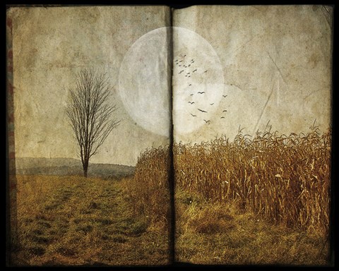 Framed Al&#39;s Tree Print