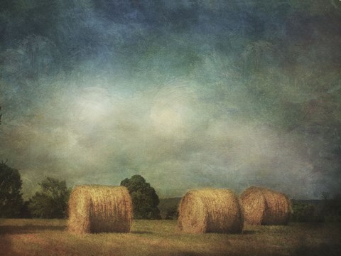 Framed Hay Rolls Print