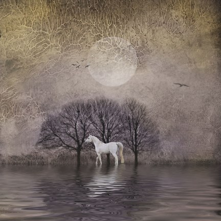 Framed White Horse in Pond Print