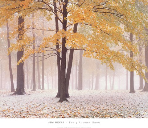 Framed Early Autumn Snow Print