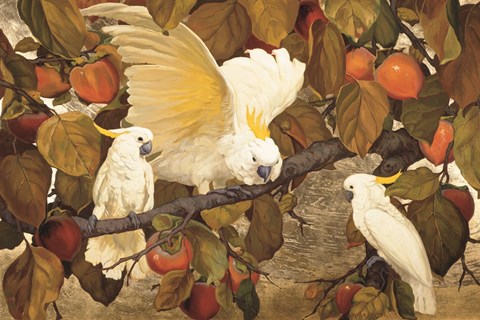 Framed Persimmons &amp; Cockatoos Print