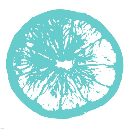 Framed Aqua Orange Slice Print