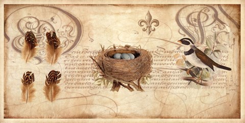 Framed Nesting I Print